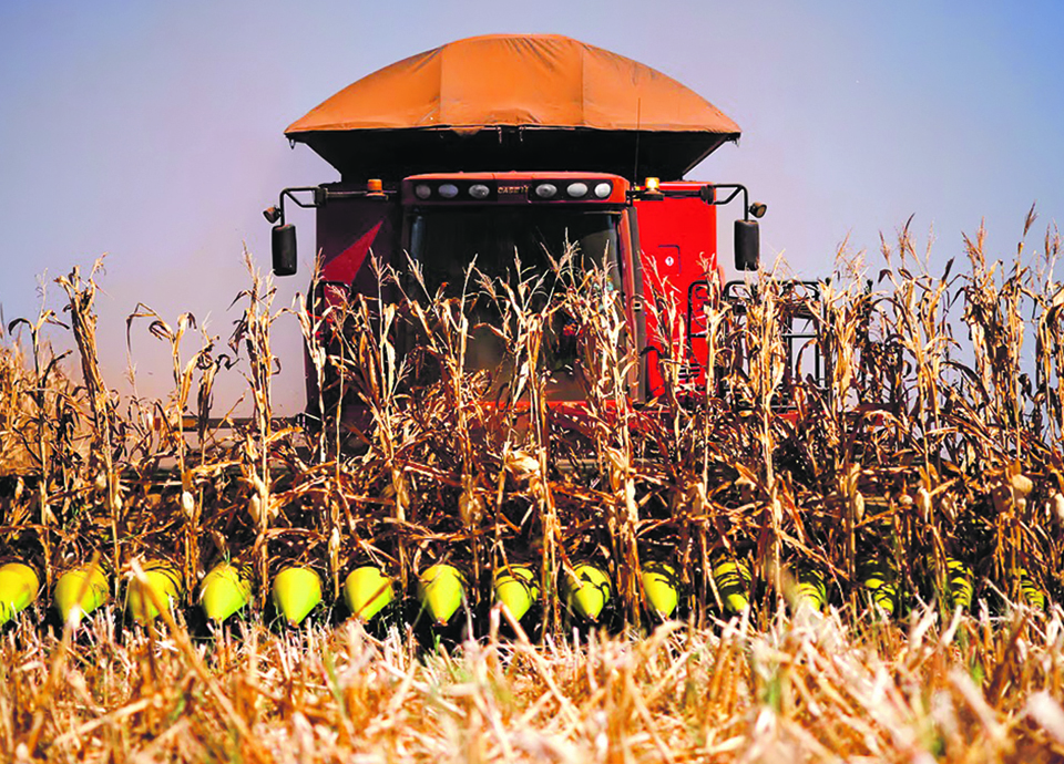 Agroalimentar nacional vale mais de 25 milh&otilde;es