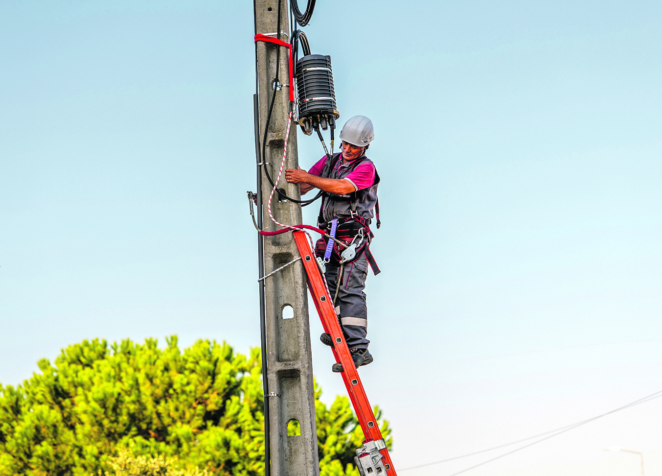 Maior operador grossista  de telecom est&aacute; &agrave; venda