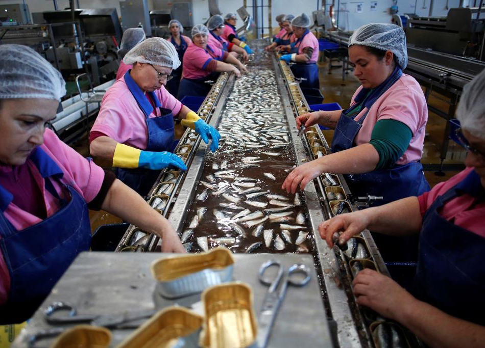 Crest pede mais de 50 milh&otilde;es pela Campotec