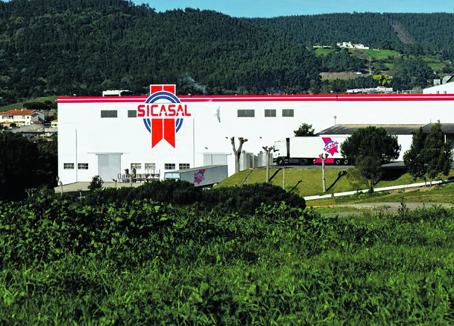 A queda do imp&eacute;rio da carne de porco