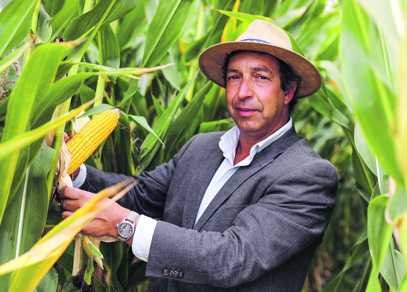 O admirável mundo novo da agricultura
