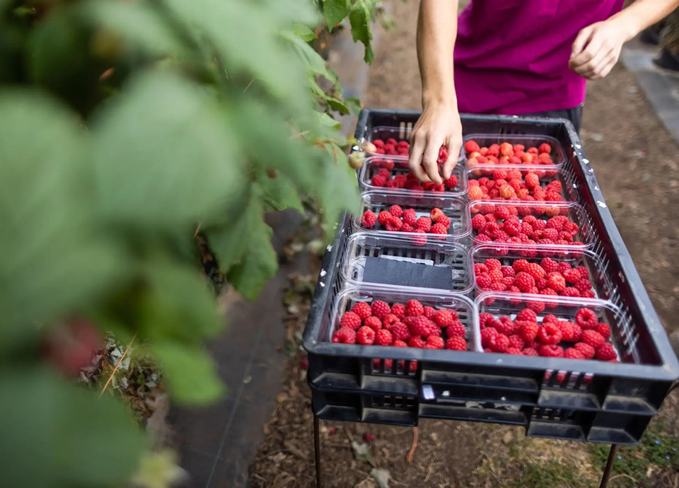 Agricultura e Ind&uacute;stria apreensivas com novo or&ccedil;amento europeu
