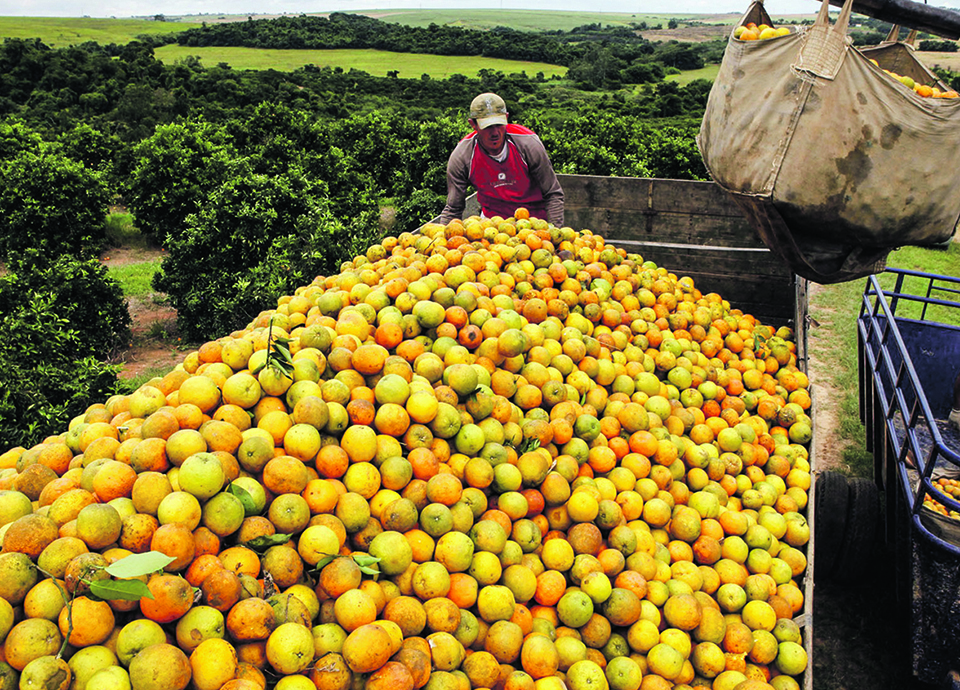 Agroalimentar preparado  para concorrência sul-americana