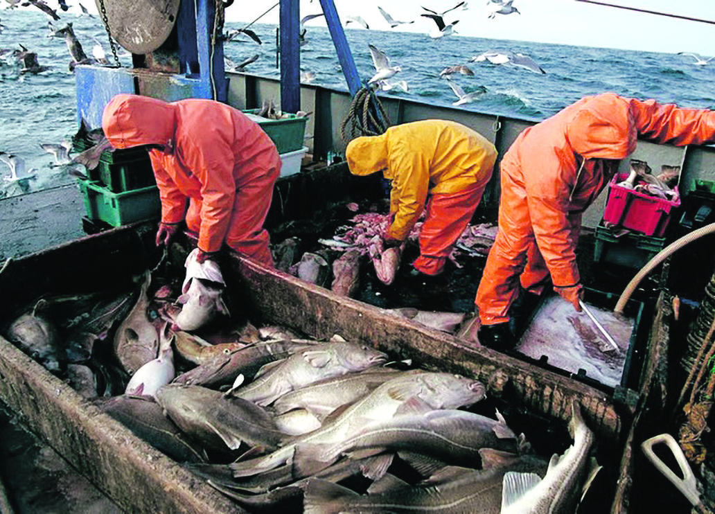 Guerras e tempestades sobem pre&ccedil;o no prato dos portugueses