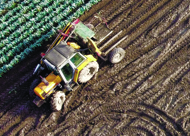 210 concelhos ficam de fora do apoio  de 40 milh&otilde;es &agrave; agricultura