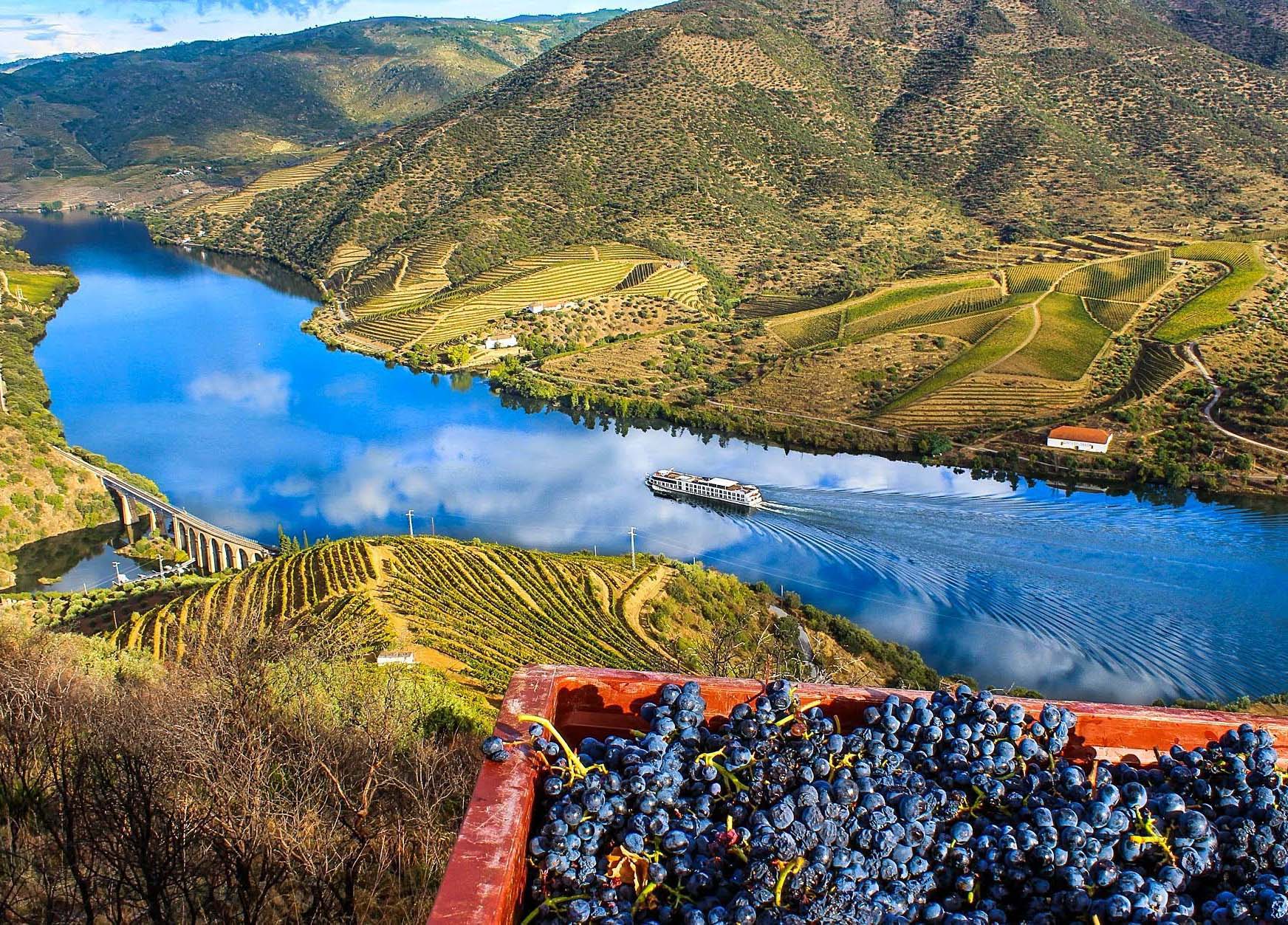 EUA são já o segundo mercado na exportação de vinhos