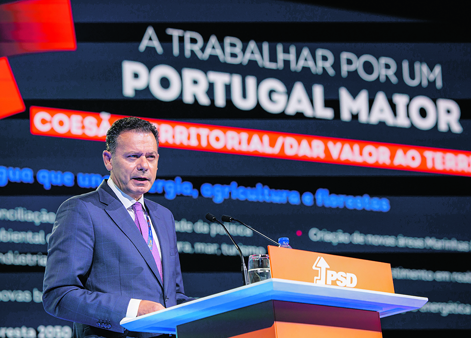 Fundo soberano  H&aacute; risco de interfer&ecirc;ncia pol&iacute;tica nas empresas, alerta AEP