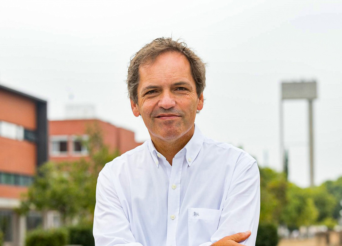 UA procura reitor para suceder a Paulo Jorge Ferreira