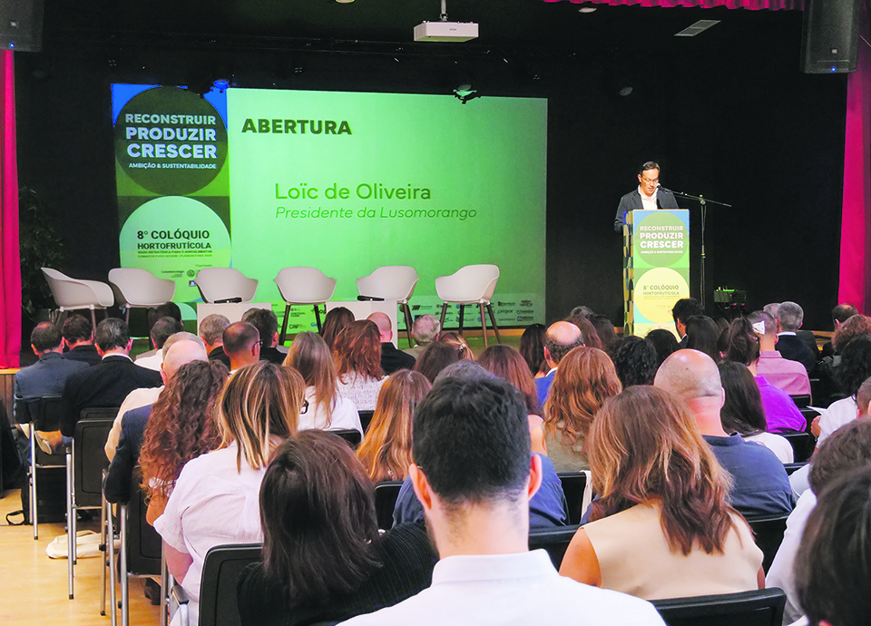 &ldquo;A agricultura &eacute; um setor para crescer, para se desenvolver e para dar lucro&rdquo;