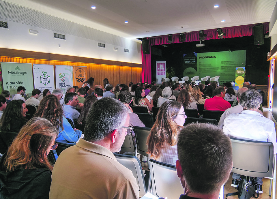 De como se recupera da Kristin at&eacute; produzir e crescer com ambi&ccedil;&atilde;o