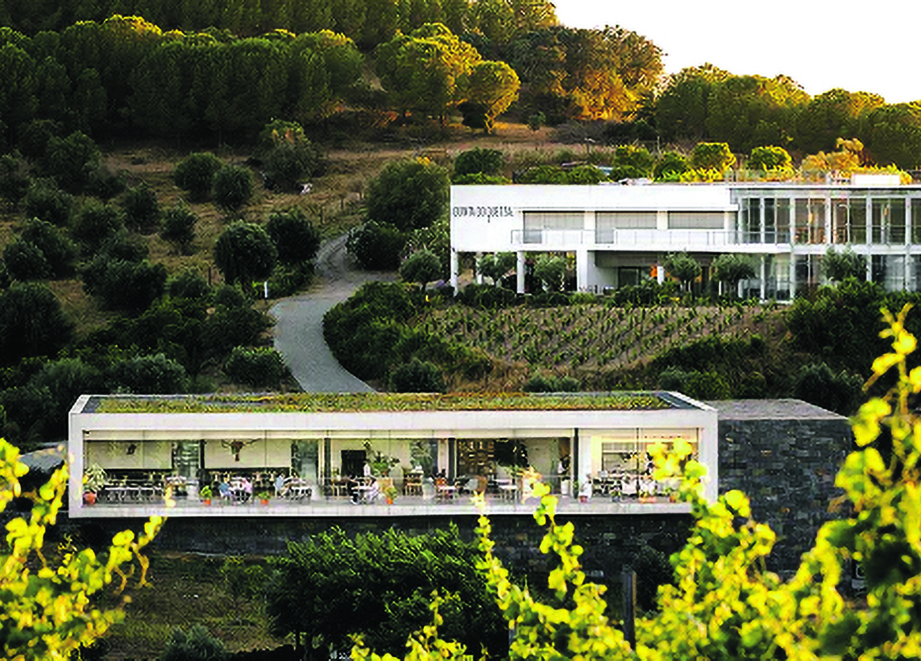 Brindar a Espinosa em pleno vagar alentejano