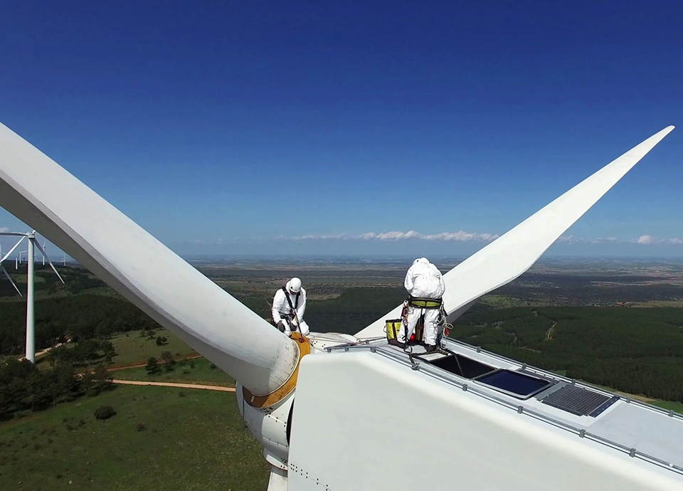 Energias renováveis são cruciais  para alimentar Inteligência Artificial