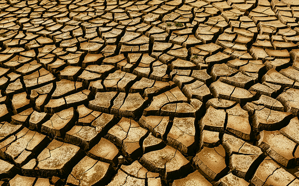 Desertificação, um fenómeno ambiental grave