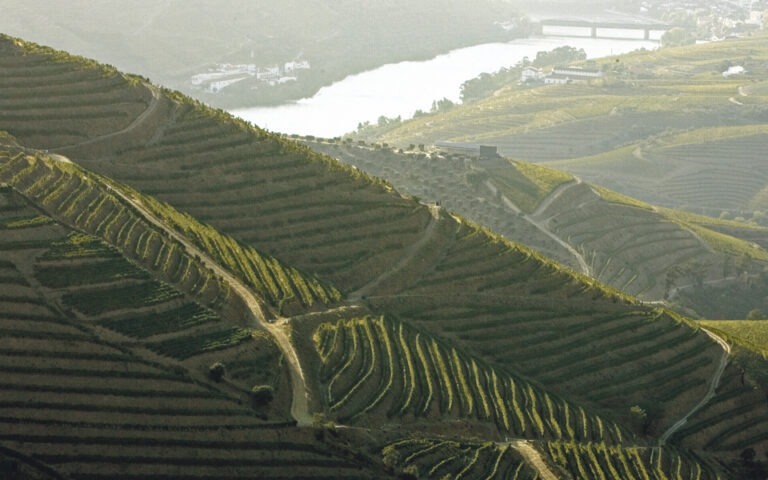 IVDP entrega ao Governo plano para a gest&atilde;o sustent&aacute;vel do Douro, que prev&ecirc; mais apoios