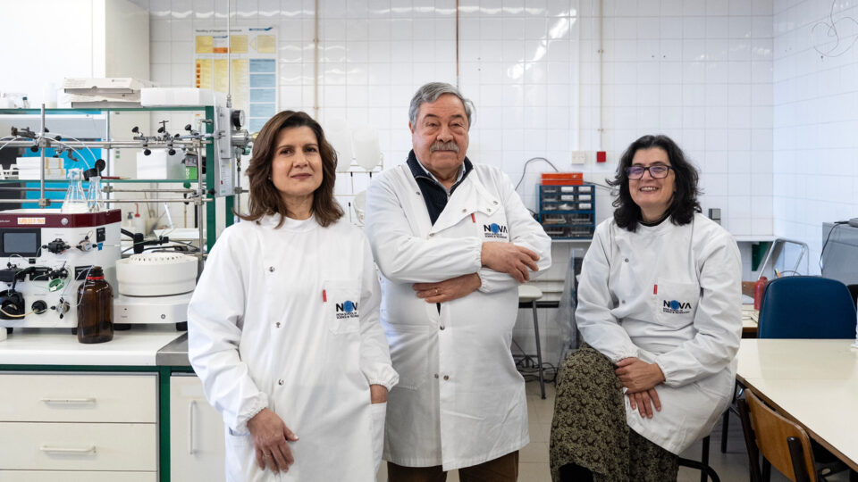 Portugueses na disputa pela inven&ccedil;&atilde;o europeia do ano por avan&ccedil;o na luta contra o cancro