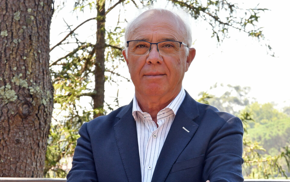 Lactogal explica como queijos e iogurtes podem combater crise do leite