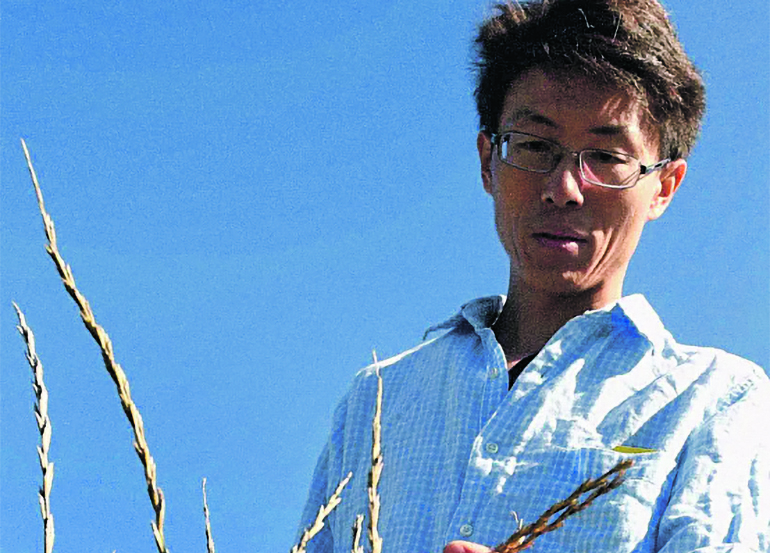 A nova agricultura: mais tecnologia, menos terra