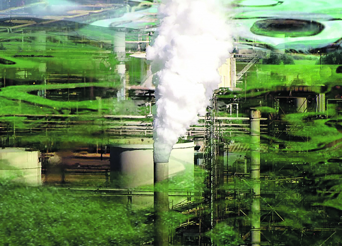 PME menos expostas  ao &ldquo;efeito cascata&rdquo; com simplifica&ccedil;&atilde;o das regras