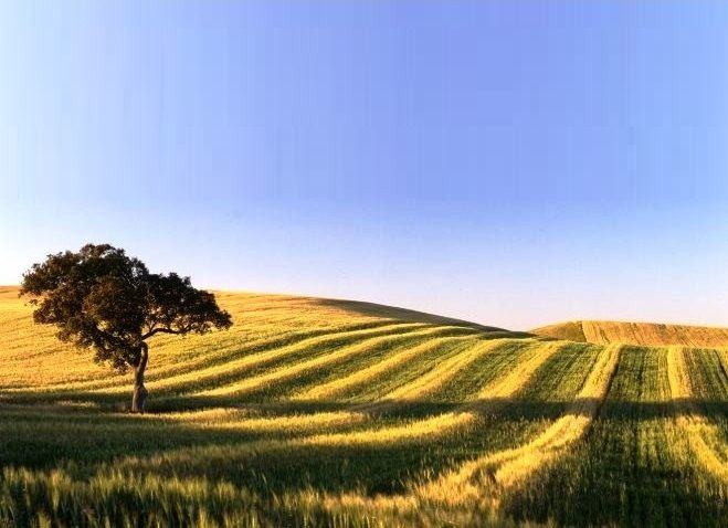 Chineses avan&ccedil;am para novo projeto de energias renov&aacute;veis no Alentejo