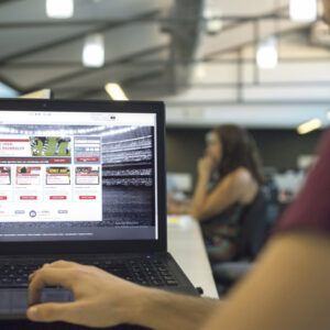 Portugueses gastaram 70 milhões por dia no jogo online em 2024