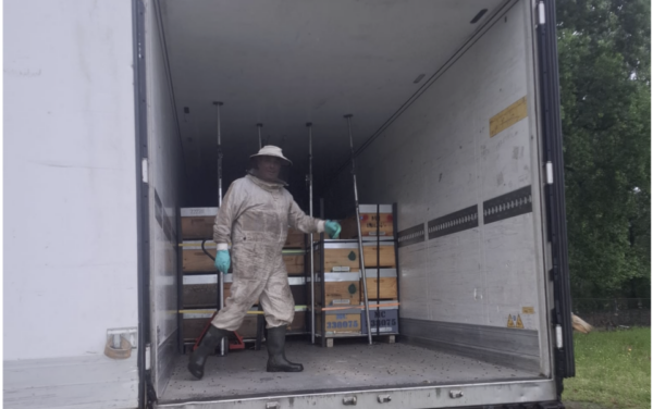 Transporte de colmeias um neg&oacute;cio em crescimento