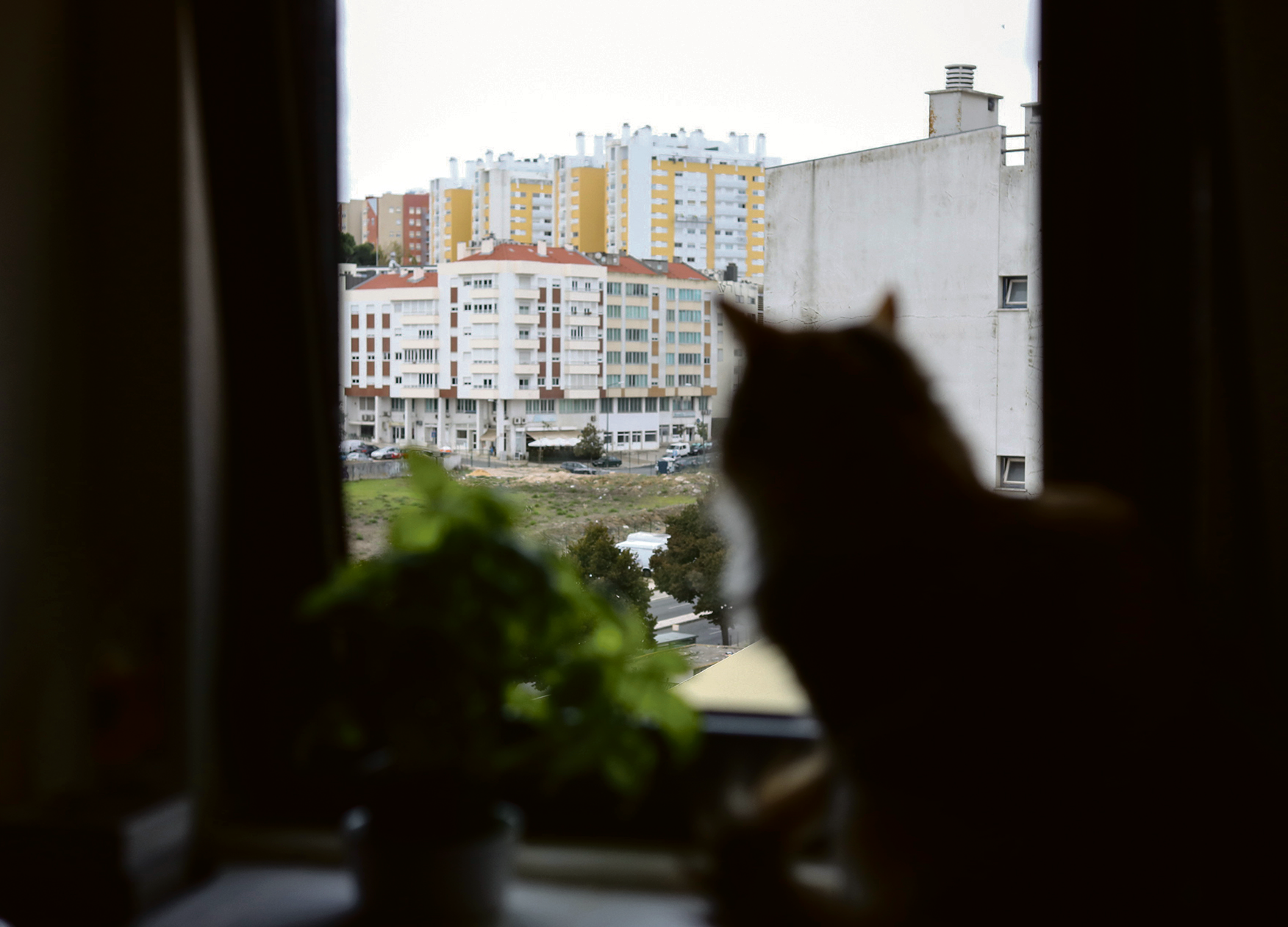 Habita&ccedil;&atilde;o - Como os custos  com regras esvaziam  os concursos  para cooperativas