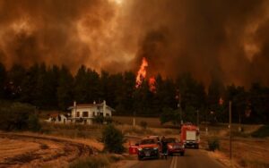 Incêndios: Advogados vão dar apoio jurídico gratuito a populações afetadas