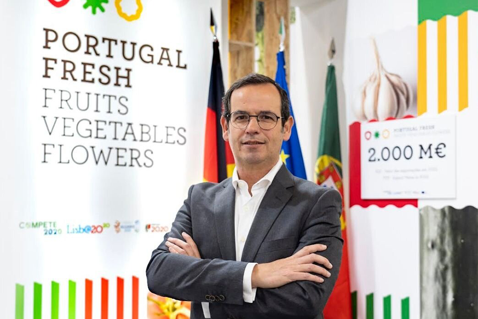 Exporta&ccedil;&otilde;es de frutas, legumes e flores atingem novo recorde de 2,6 mil milh&otilde;es