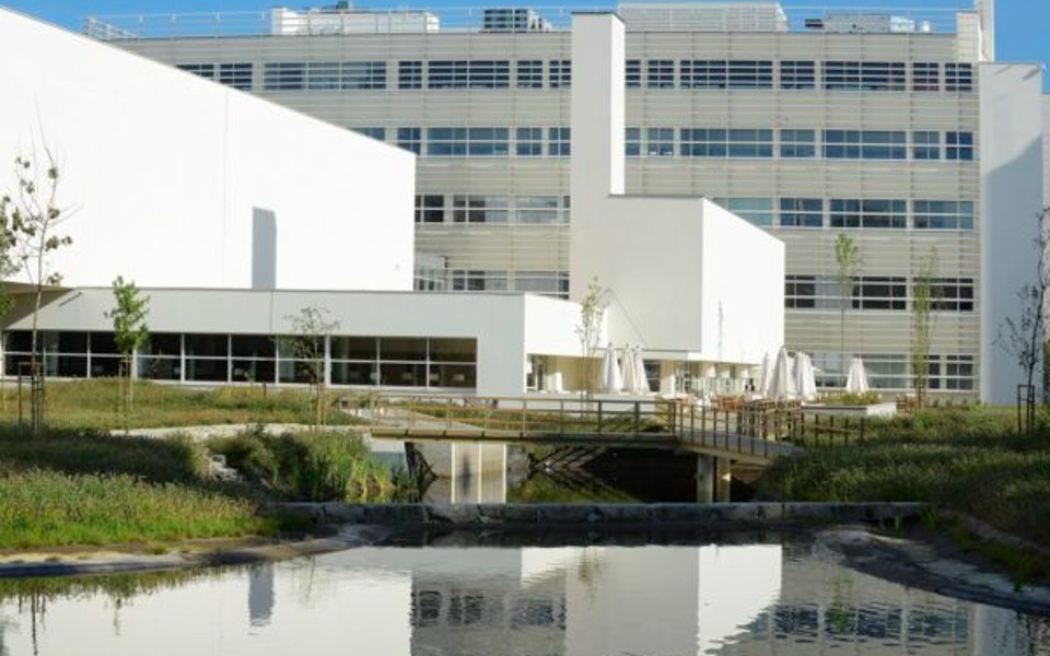 Porto Business School quer captar um milhão por ano com criação de conhecimento