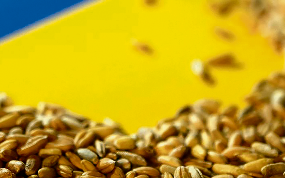 Rússia vende cara  a extensão do acordo  de cereais com a Ucrânia